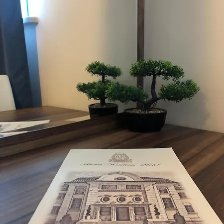 семеен анна-кристина Hotel 3*