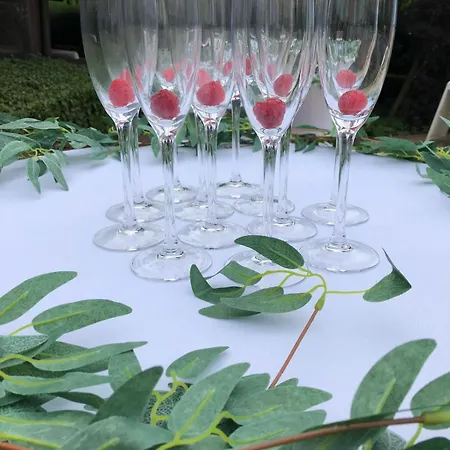 Szálloda семеен анна-кристина Vidin