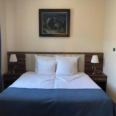 семеен анна-кристина 3* Vidin