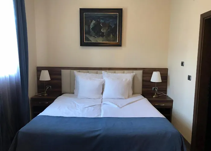 семеен анна-кристина 3* Vidin